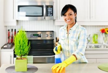 House Cleaning by Pristine Pineapple Cleaners